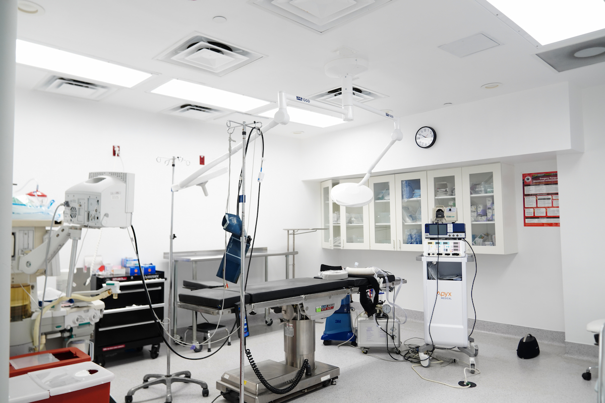 Фоновое изображение №3